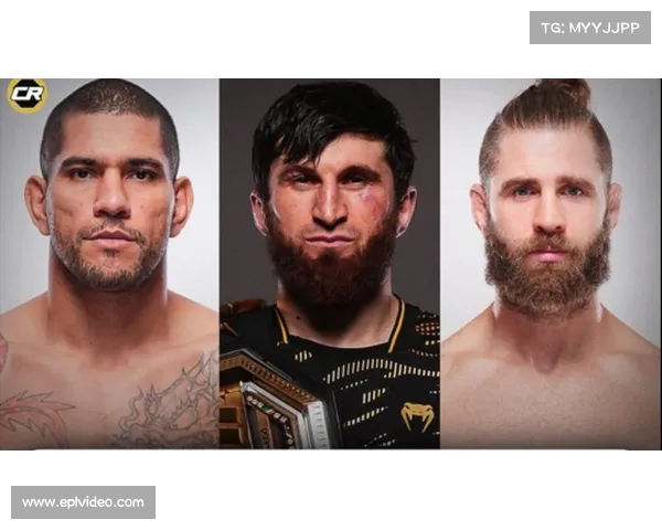 2026年UFC冠军预测爆冷:莫卡耶夫被看好回归即夺冠